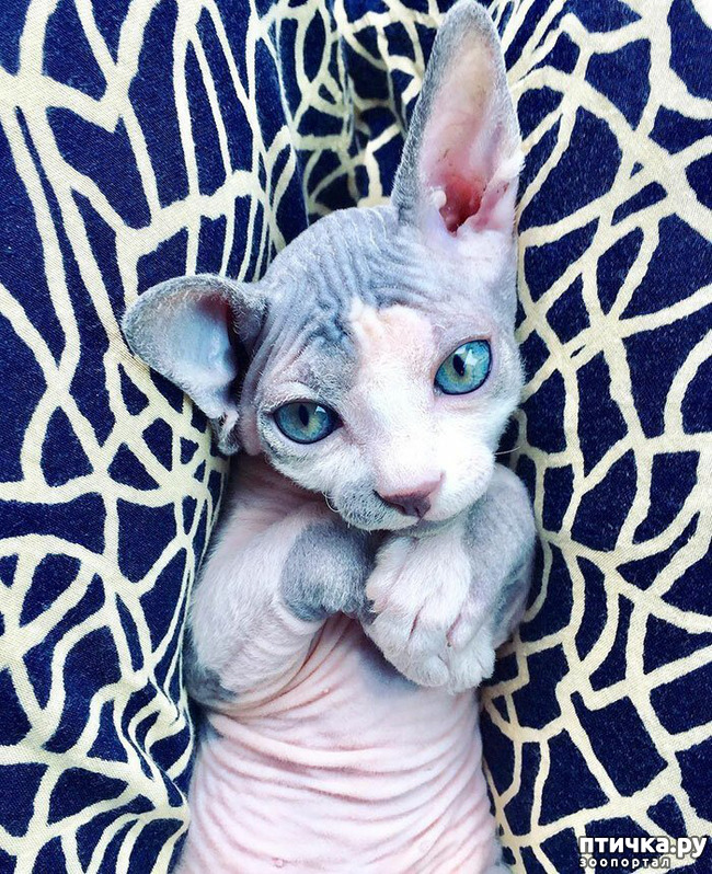 ���� 2: �������