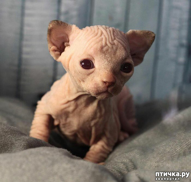 ���� 3: �������