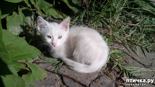 ���� 1: ������ �� ����������