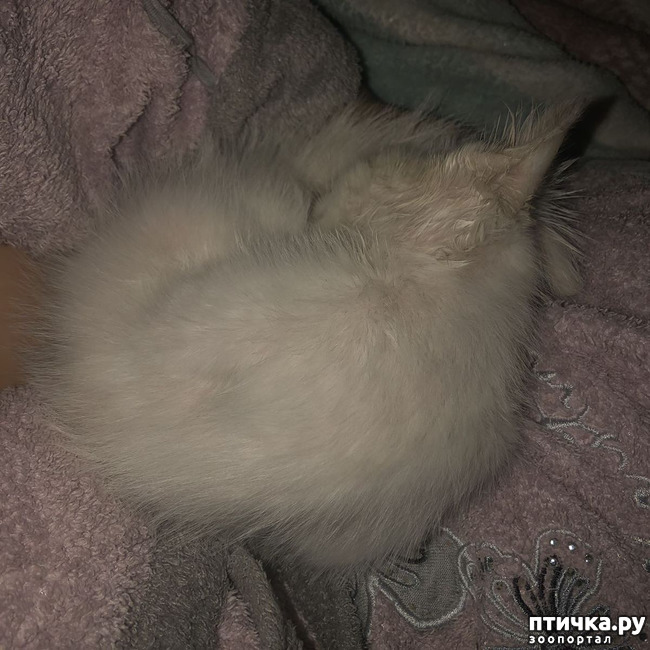 ���� 2: ������ �� ����������