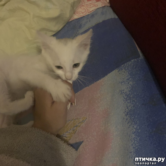 ���� 4: ������ �� ����������