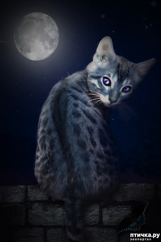 ���� 2: ������� � �����������