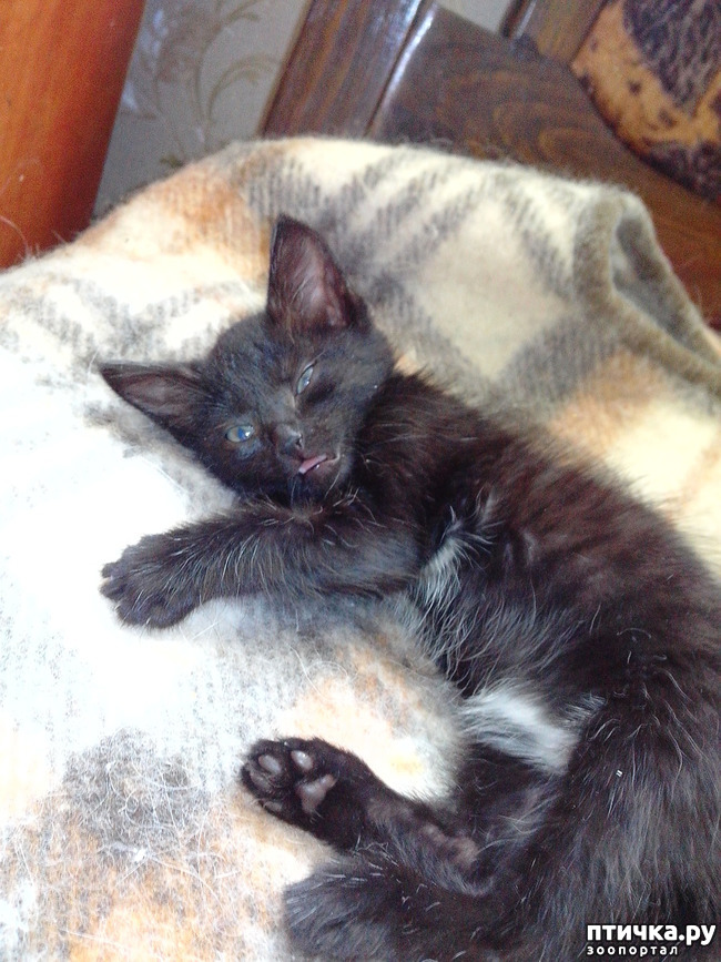 ���� 1: ���� ��������