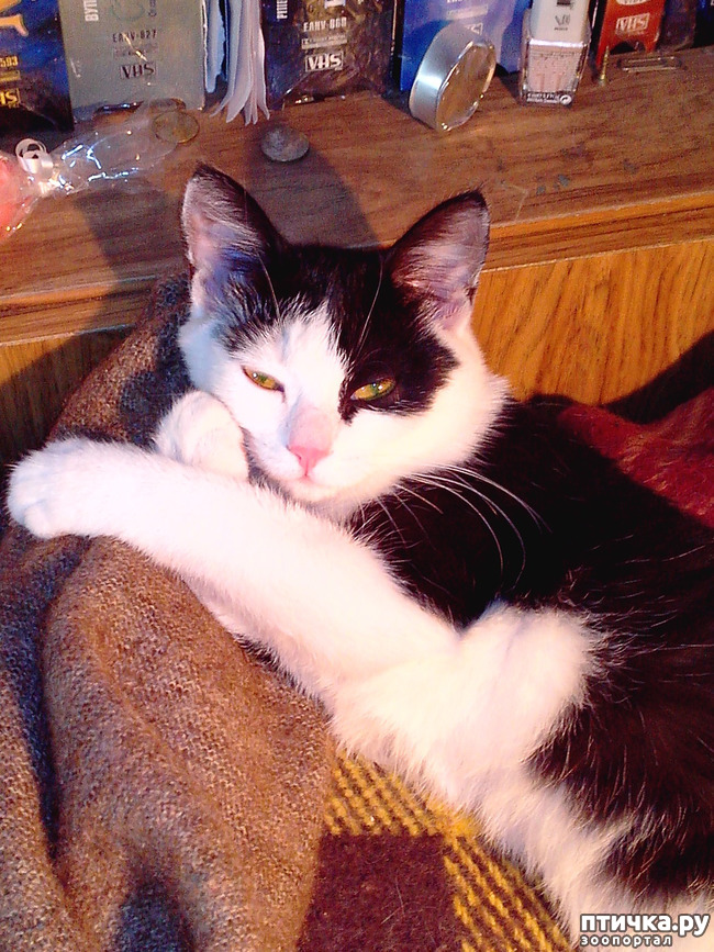 ���� 1: ���������, ���� ���������