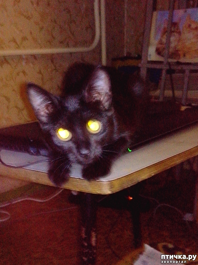 ���� 2: ���� ��������