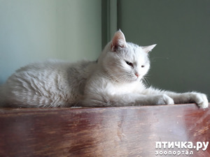 ����: ������ �� �� �����, ��� ����� ��� �?