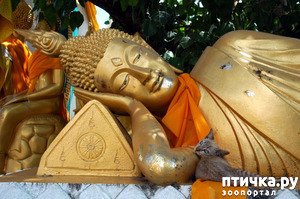 ����: ����� � �����