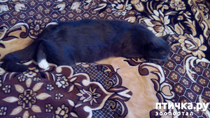 ����: �����