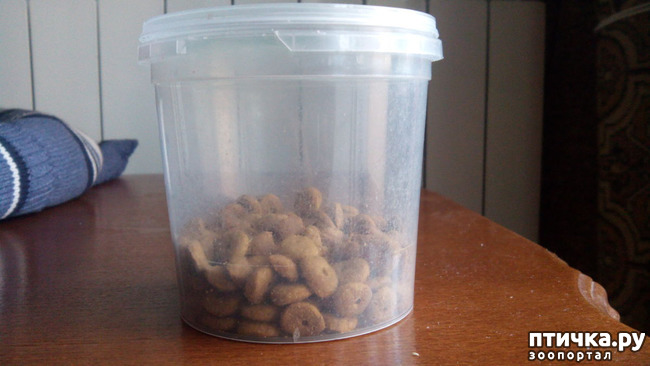 ���� 2: �����