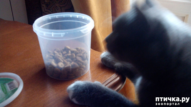 ���� 3: �����