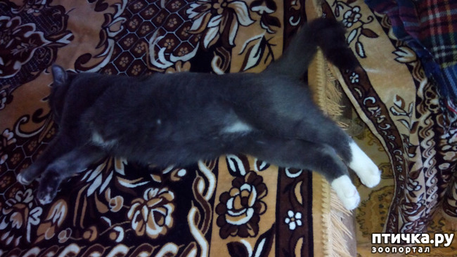 ���� 4: �����