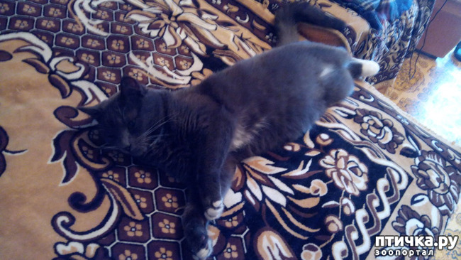 ���� 5: �����