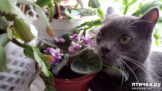 ���� 1: ���������� ��������