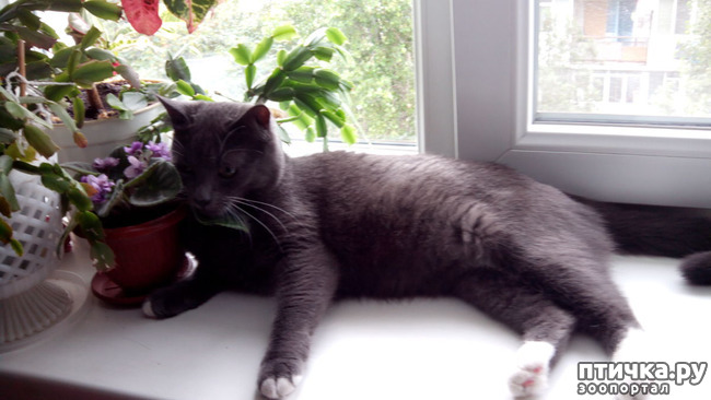 ���� 2: ���������� ��������