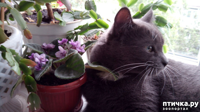 ���� 3: ���������� ��������