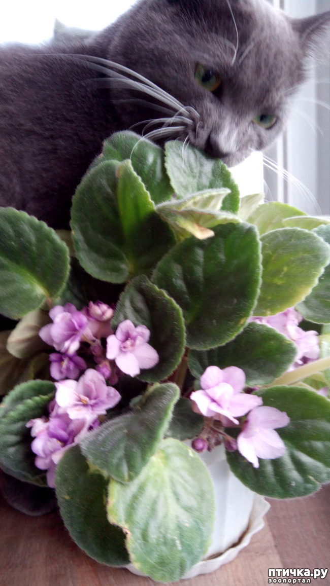 ���� 4: ���������� ��������