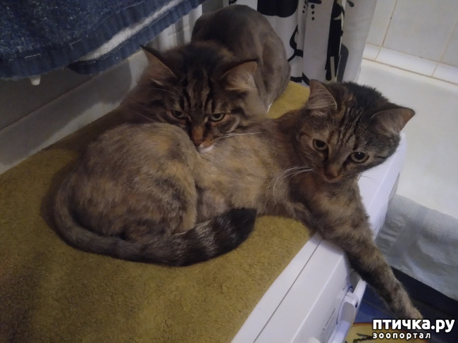 ���� 1: ������.