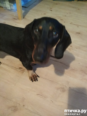 ����: �������� �������: ���� 2019.