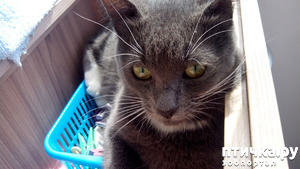 ����: ��� ������