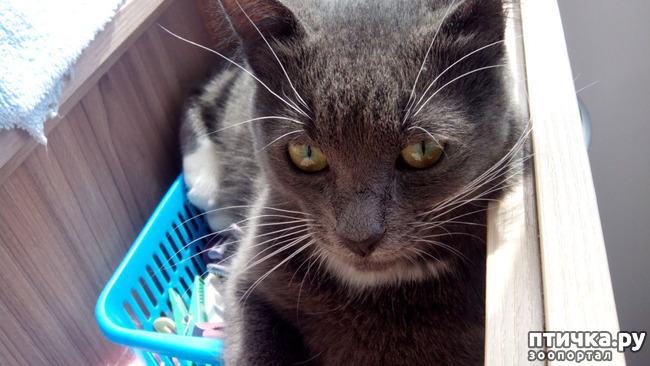 ���� 1: ��� ������