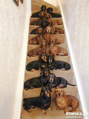 ����: ���� �� ����.