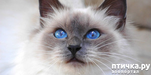 ����: ��������� ��������� �����