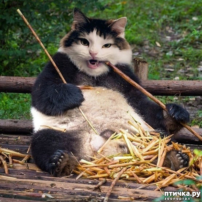 ���� 7: ������ ���� �� ������� ����� ��������!