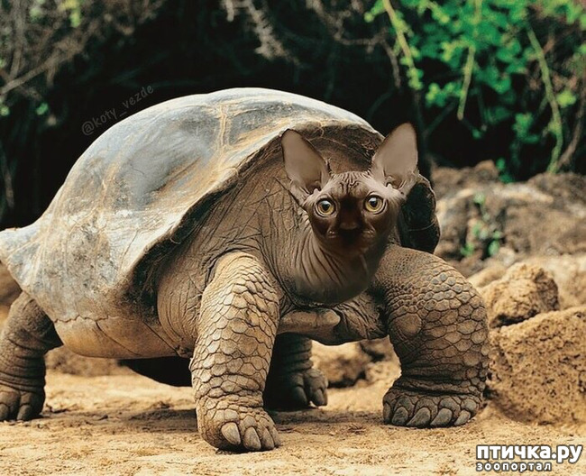 ���� 9: ������ ���� �� ������� ����� ��������!