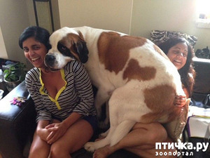 ����: �������� ���� �� �����! ������������.