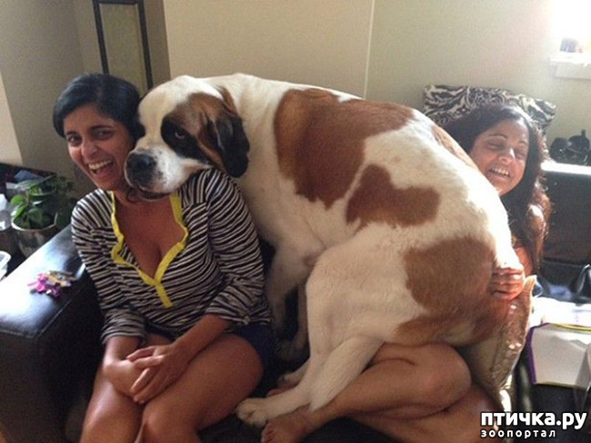 ���� 1: �������� ���� �� �����! ������������.