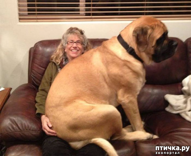 ���� 2: �������� ���� �� �����! ������������.