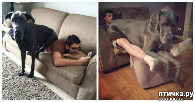 ���� 3: �������� ���� �� �����! ������������.