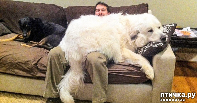 ���� 4: �������� ���� �� �����! ������������.