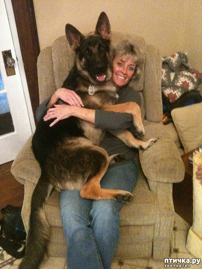 ���� 5: �������� ���� �� �����! ������������.