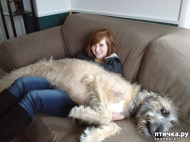 ���� 7: �������� ���� �� �����! ������������.