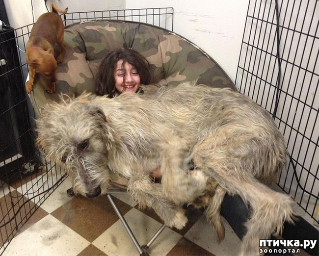 ���� 8: �������� ���� �� �����! ������������.