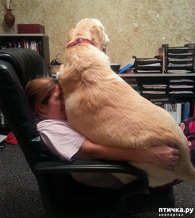 ���� 9: �������� ���� �� �����! ������������.