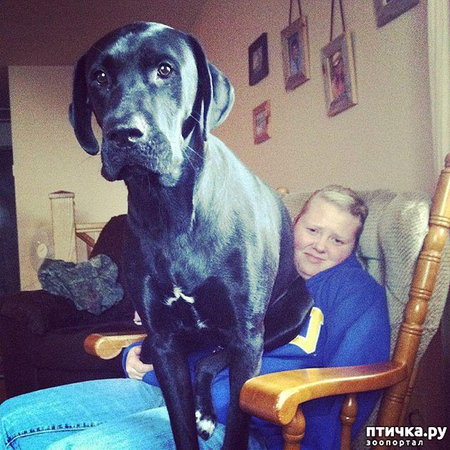 ���� 10: �������� ���� �� �����! ������������.