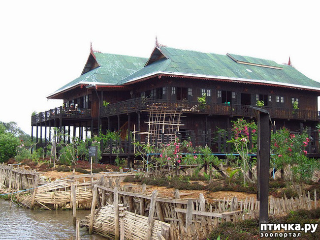 ���� 2: ��������� ��������� �����