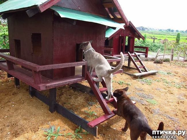 ���� 3: ��������� ��������� �����