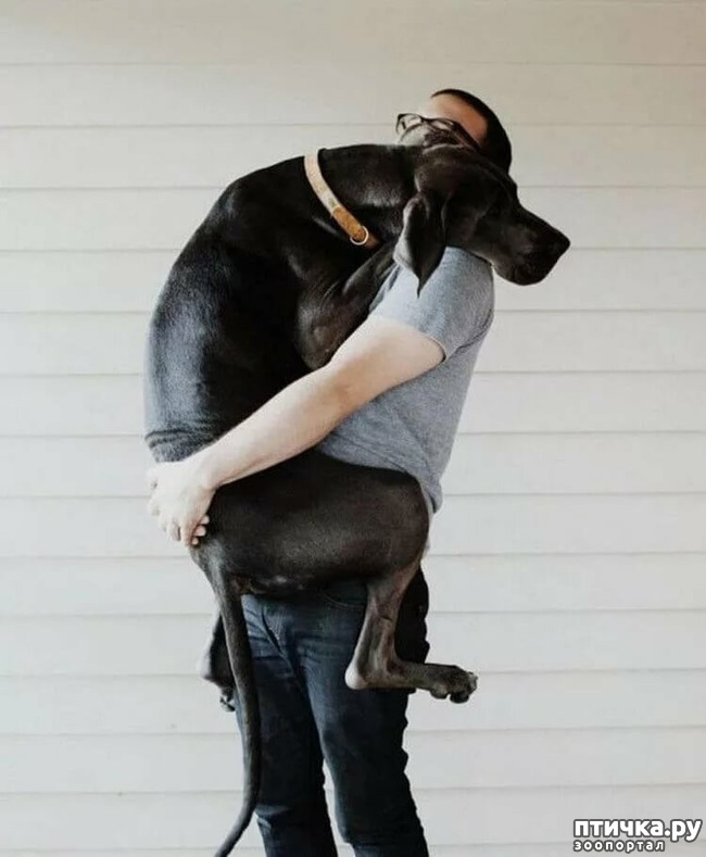 ���� 12: �������� ���� �� �����! ������������.