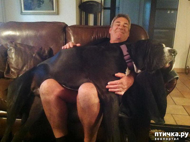 ���� 13: �������� ���� �� �����! ������������.