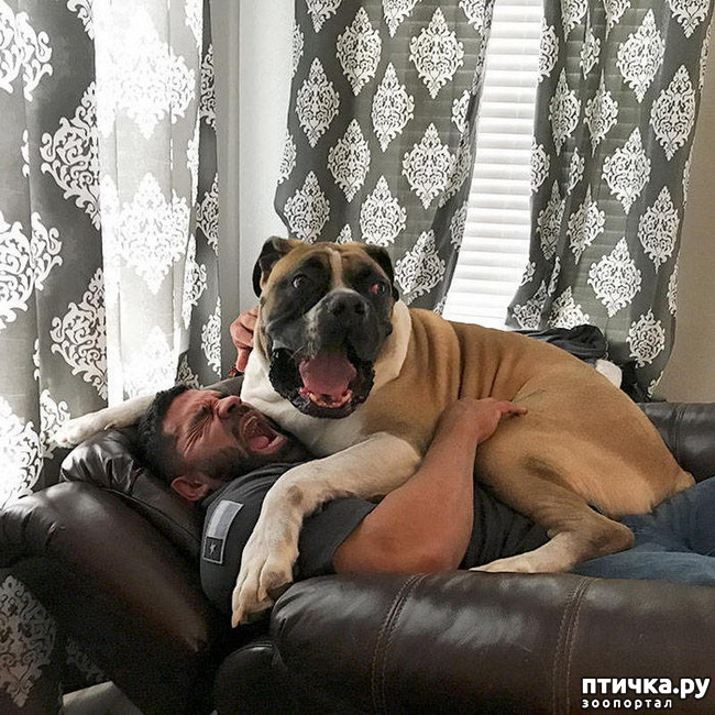 ���� 15: �������� ���� �� �����! ������������.