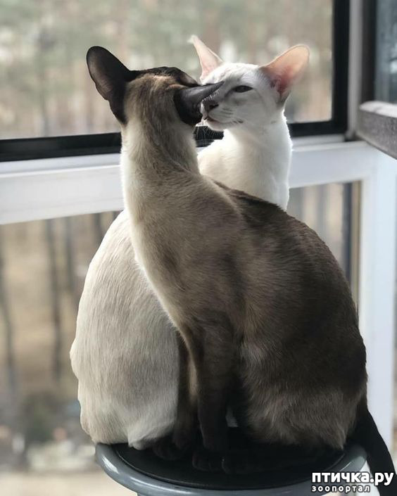  11: .  