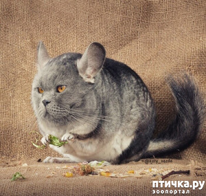 ����: ������ ���� �� ������� ����� ��������!