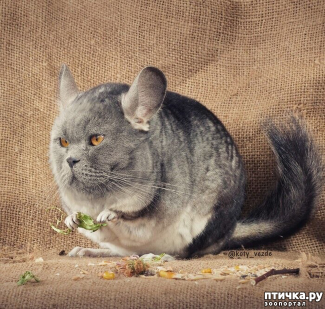 ���� 1: ������ ���� �� ������� ����� ��������!