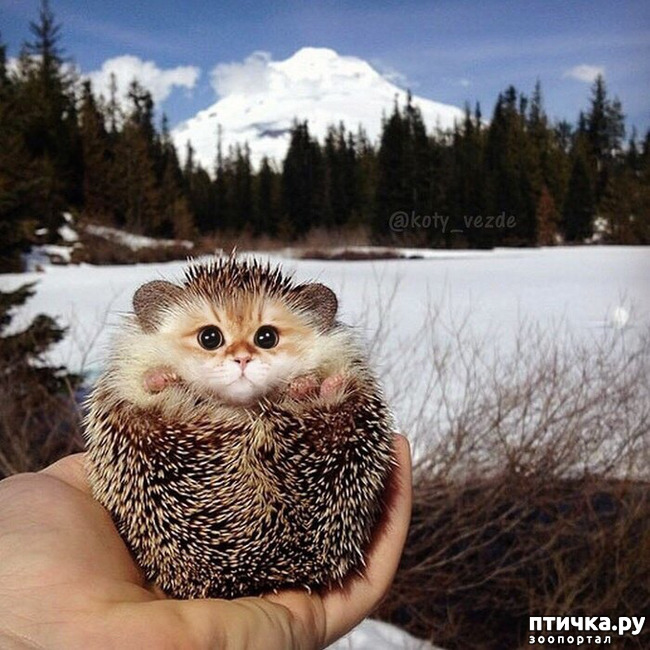 ���� 2: ������ ���� �� ������� ����� ��������!