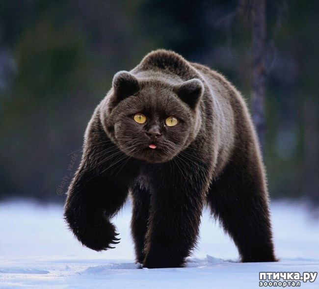 ���� 3: ������ ���� �� ������� ����� ��������!