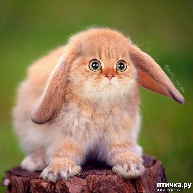 ���� 4: ������ ���� �� ������� ����� ��������!