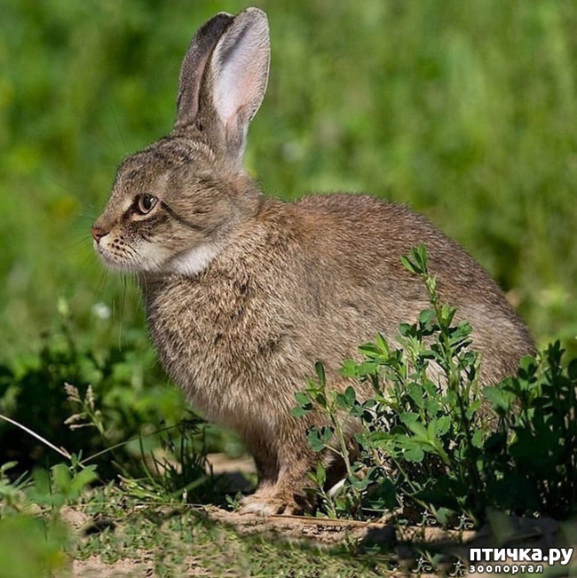 ���� 5: ������ ���� �� ������� ����� ��������!